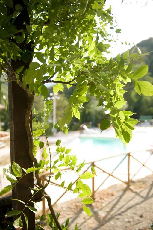 Agriturismo Ca' Montioni Guest House Mercatello sul Metauro Ruang foto